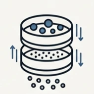 Classification